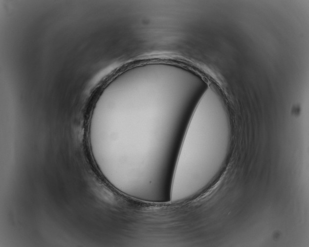 X0000102471406200808080958
