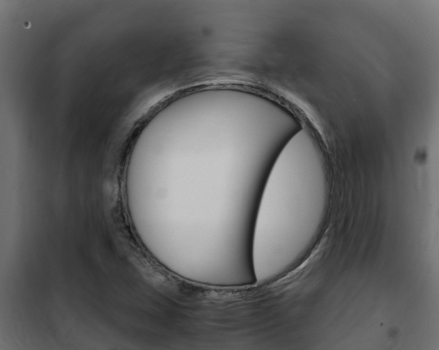X0000102471407200808080958