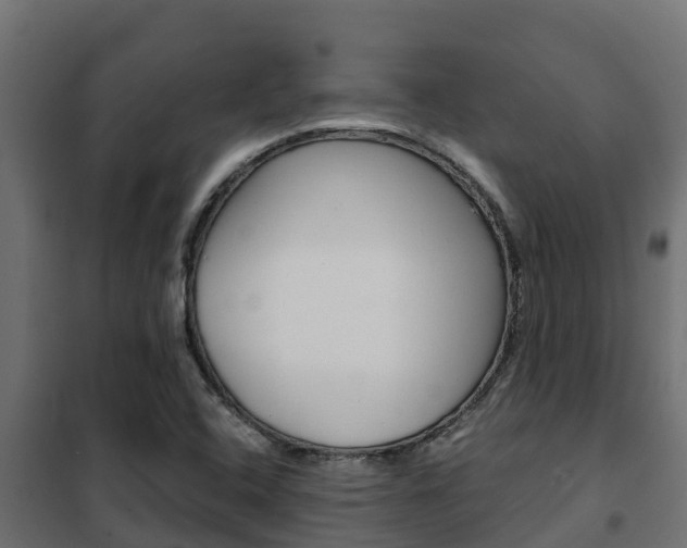 X0000102471408200808080958
