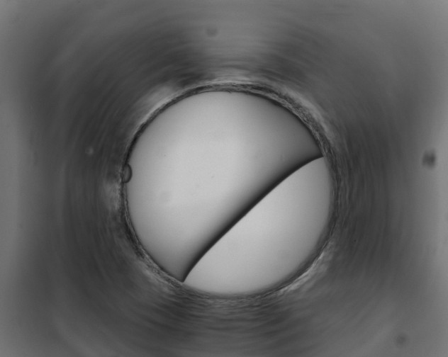X0000102471409200808080958