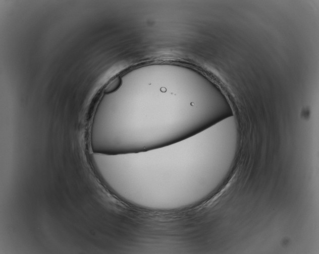 X0000102471410200808080958