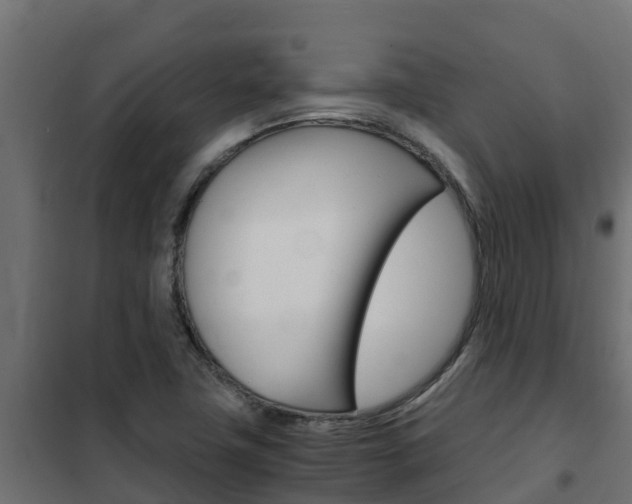 X0000102471411200808080958