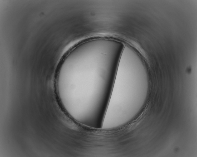 X0000102471412200808080958