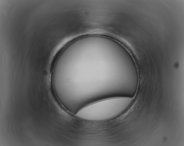X0000102471414200808080958