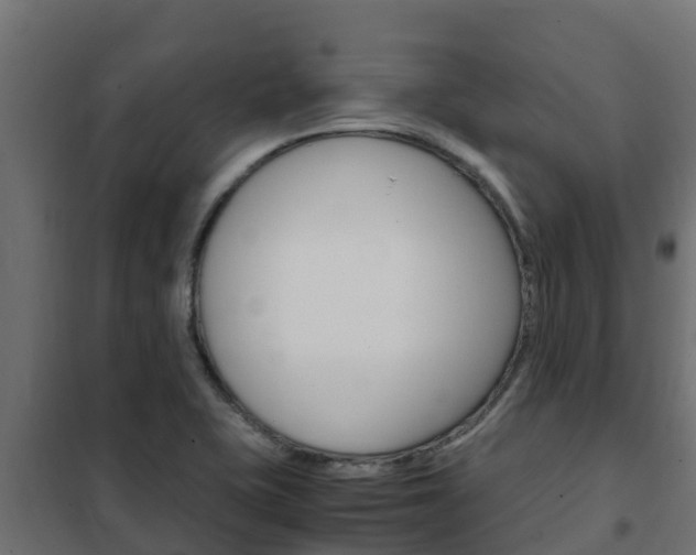 X0000102471415200808080958