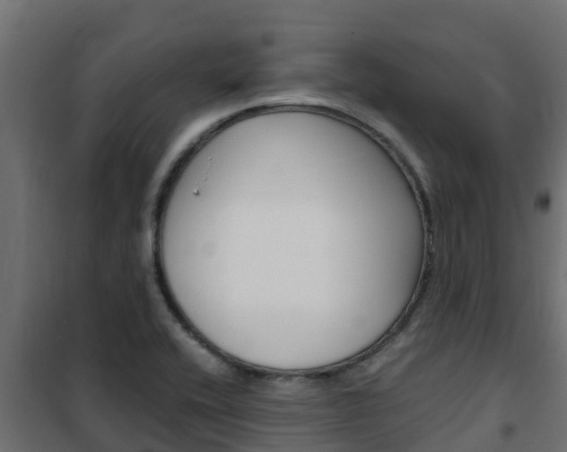 X0000102471416200808080958