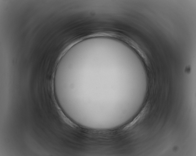 X0000102471417200808080958