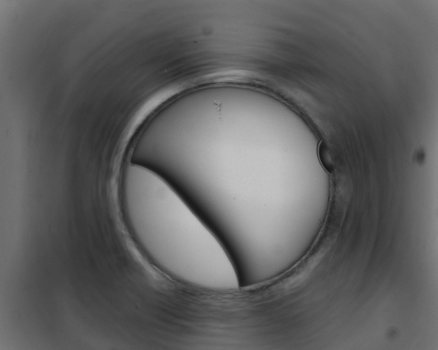X0000102471418200808080958