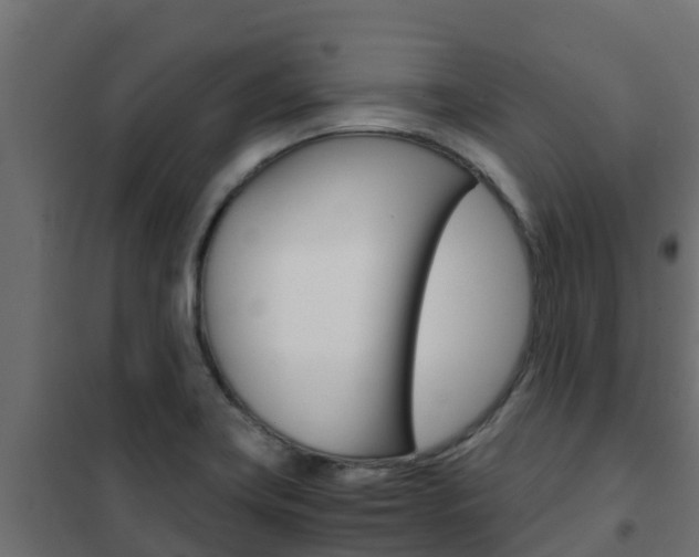 X0000102471419200808080958