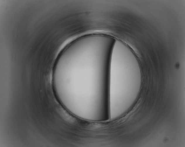 X0000102471420200808080958