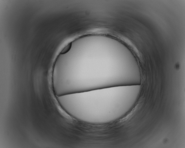 X0000102471421200808080958
