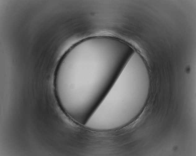 X0000102471422200808080958
