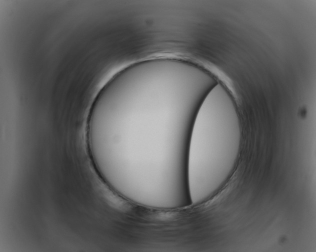 X0000102471423200808080958