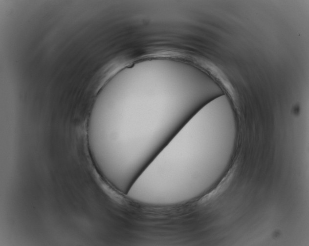 X0000102471425200808080958