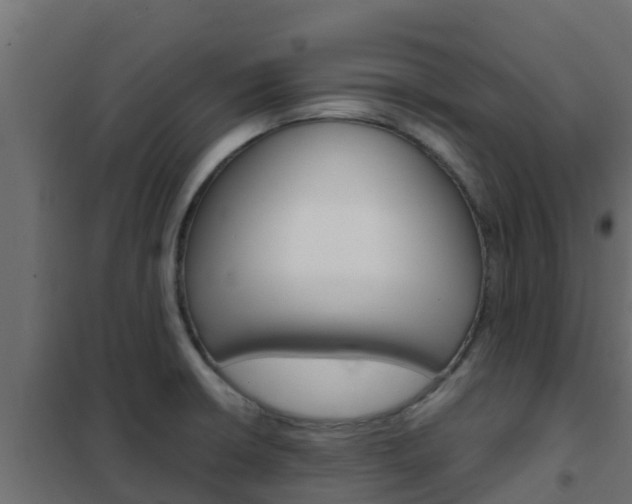 X0000102471426200808080958
