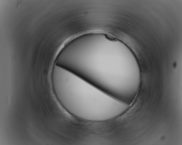 X0000102471428200808080958