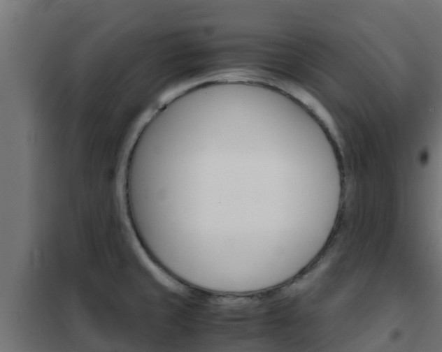 X0000102471429200808080958