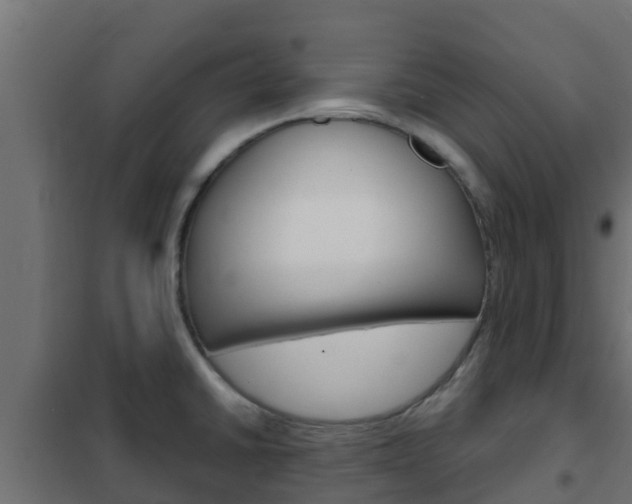 X0000102471430200808080958