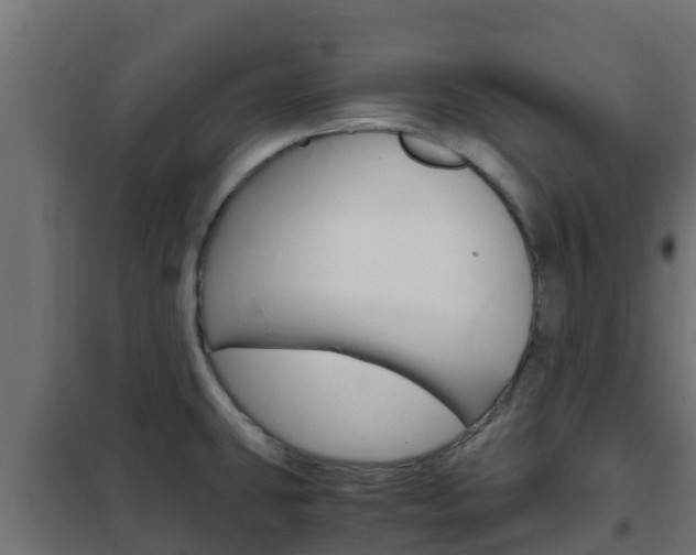 X0000102471431200808080958