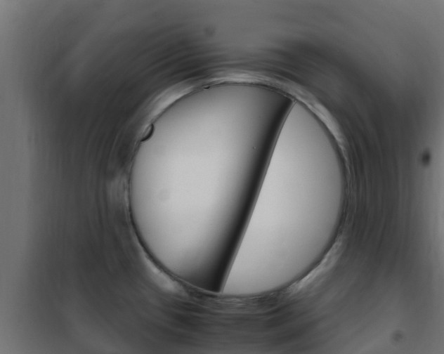 X0000102471433200808080958