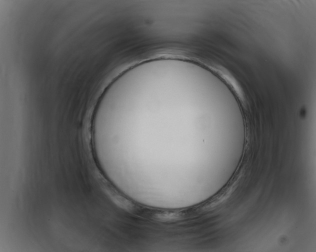 X0000102471435200808080958