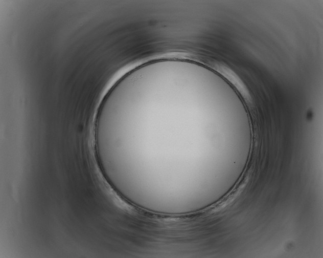 X0000102471436200808080958