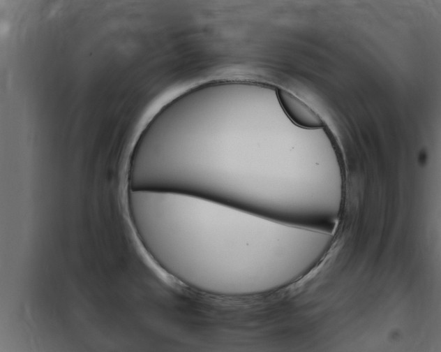 X0000102471437200808080958