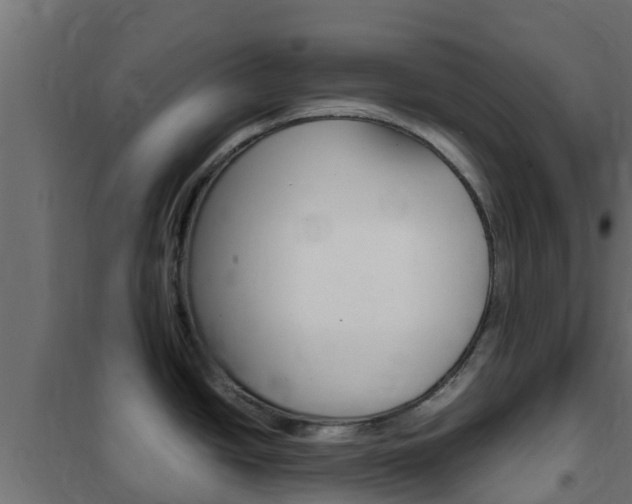 X0000102471438200808080958