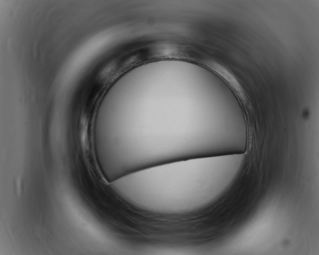 X0000102471439200808080958