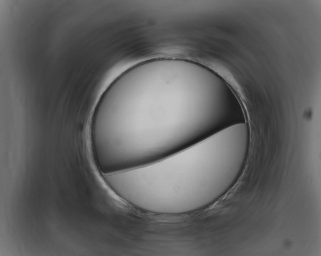 X0000102471440200808080958