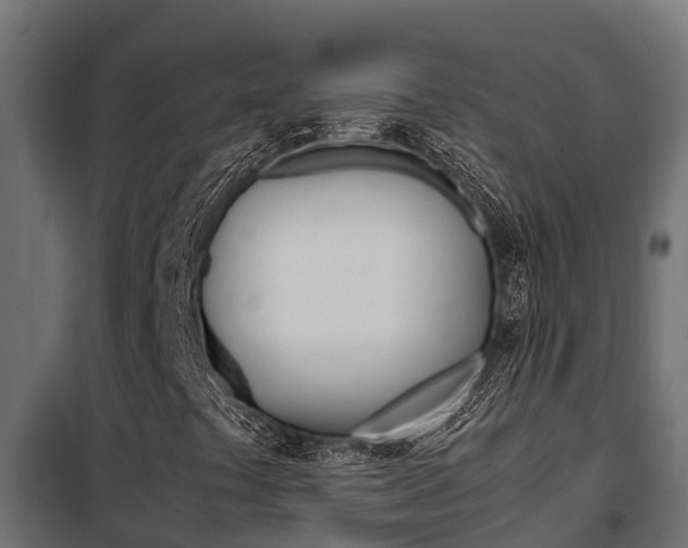 X0000102471441200808080958