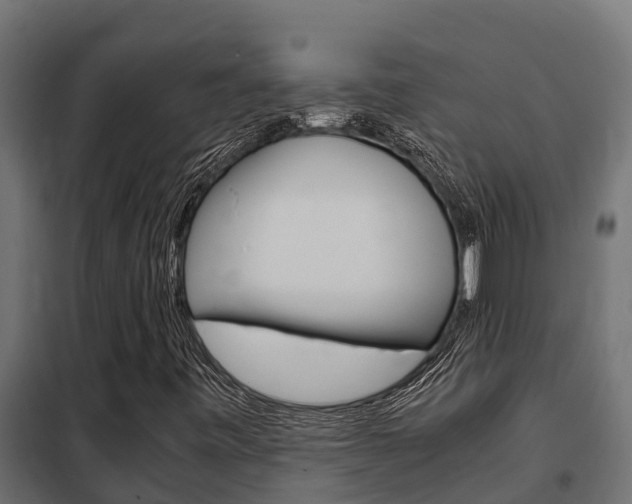 X0000102471443200808080958
