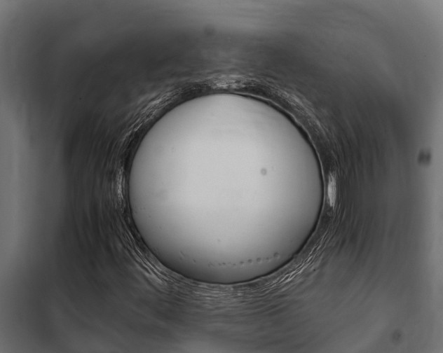 X0000102471444200808080958