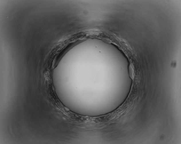 X0000102471445200808080958