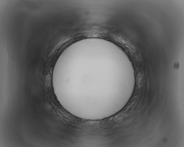 X0000102471446200808080957
