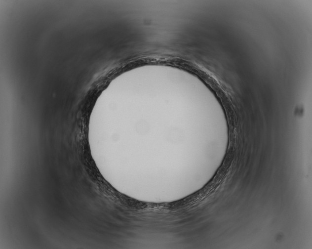 X0000102471447200808080957