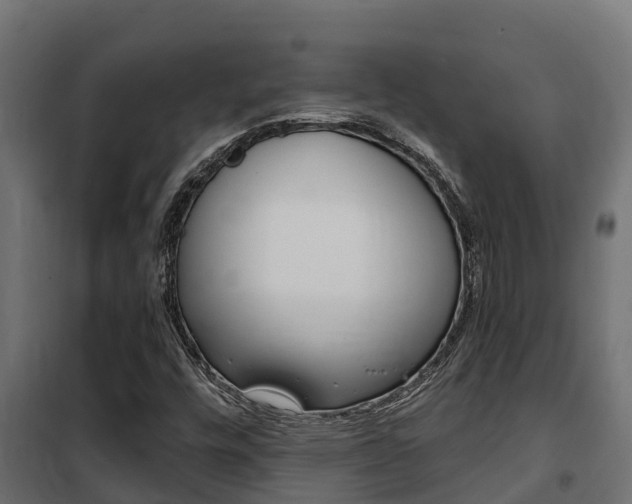 X0000102471448200808080957