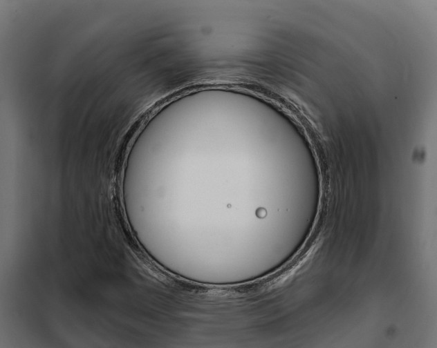 X0000102471449200808080957