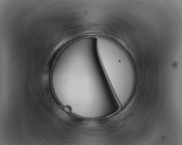 X0000102471450200808080957