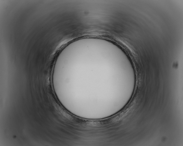 X0000102471451200808080957
