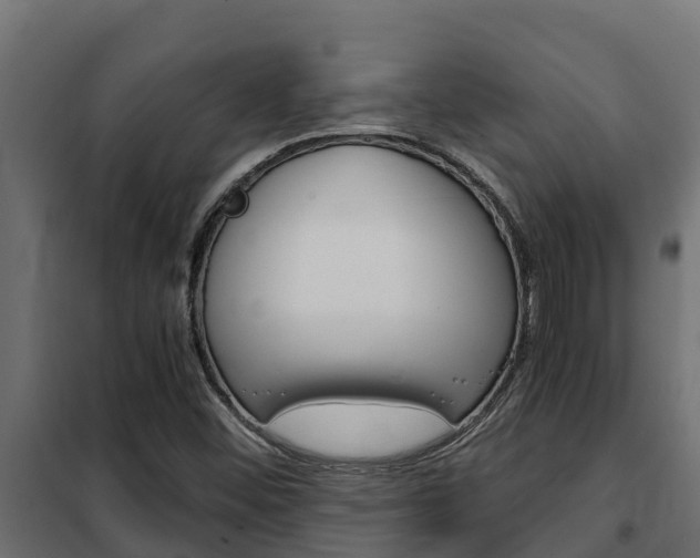 X0000102471452200808080957