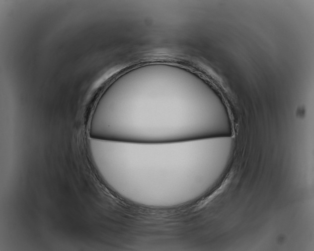 X0000102471453200808080957