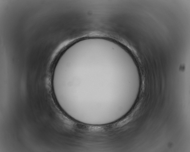 X0000102471454200808080957
