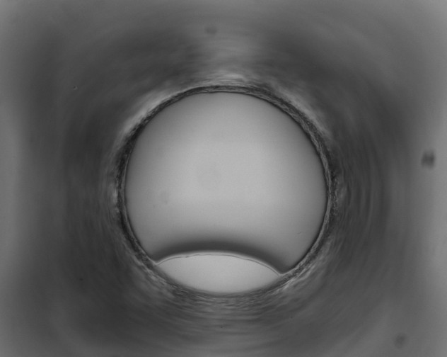 X0000102471455200808080957