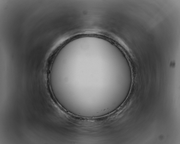 X0000102471456200808080957