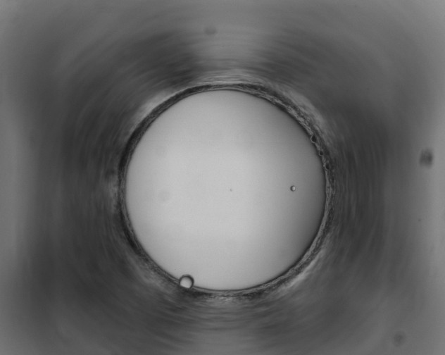 X0000102471457200808080957