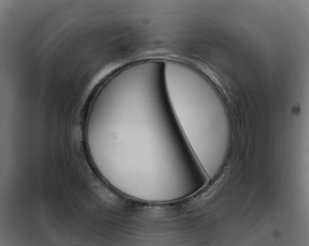 X0000102471458200808080957