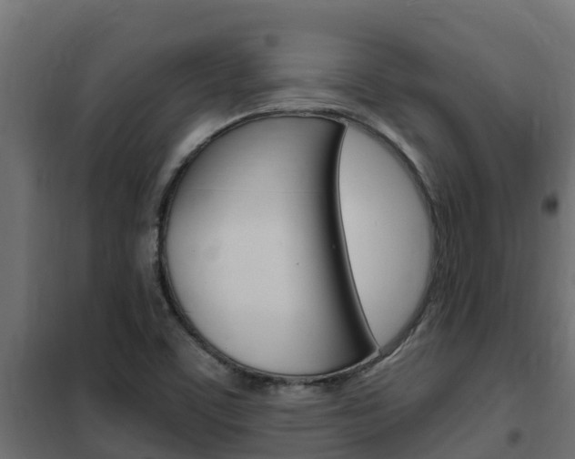 X0000102471459200808080957