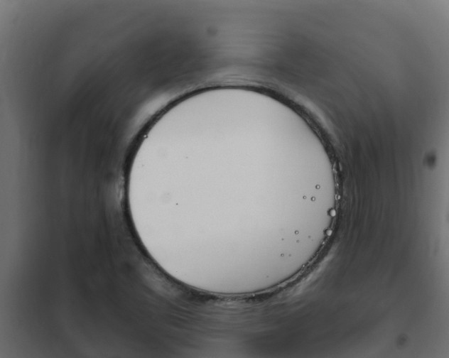X0000102471461200808080957