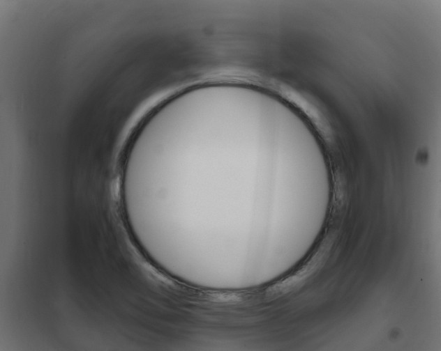 X0000102471462200808080957